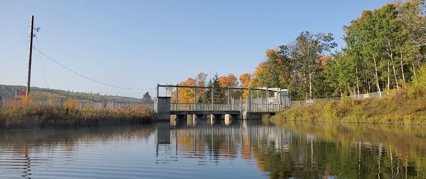 Connor Armitage- co-op student.4