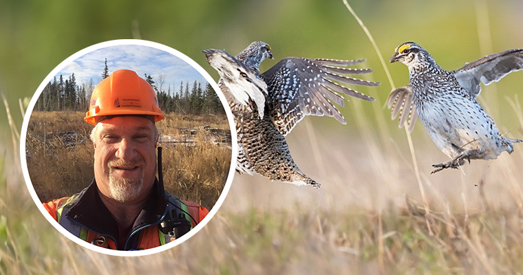 Passion for environmental stewardship - Sharp-tailed grouse habitat restoration Read More